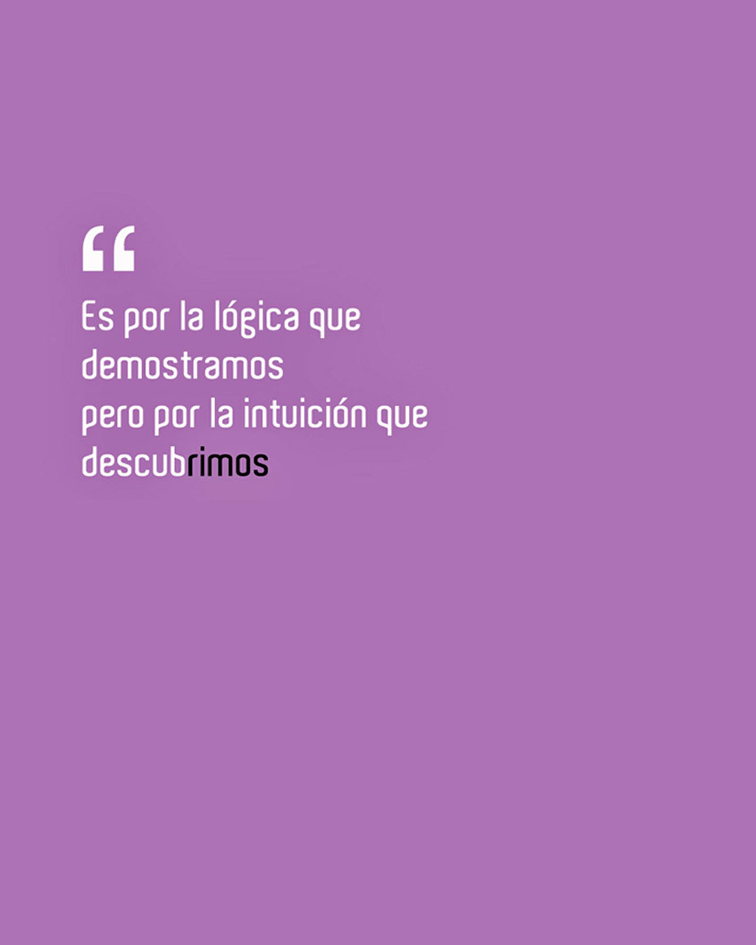 rimos collection desarrollo web