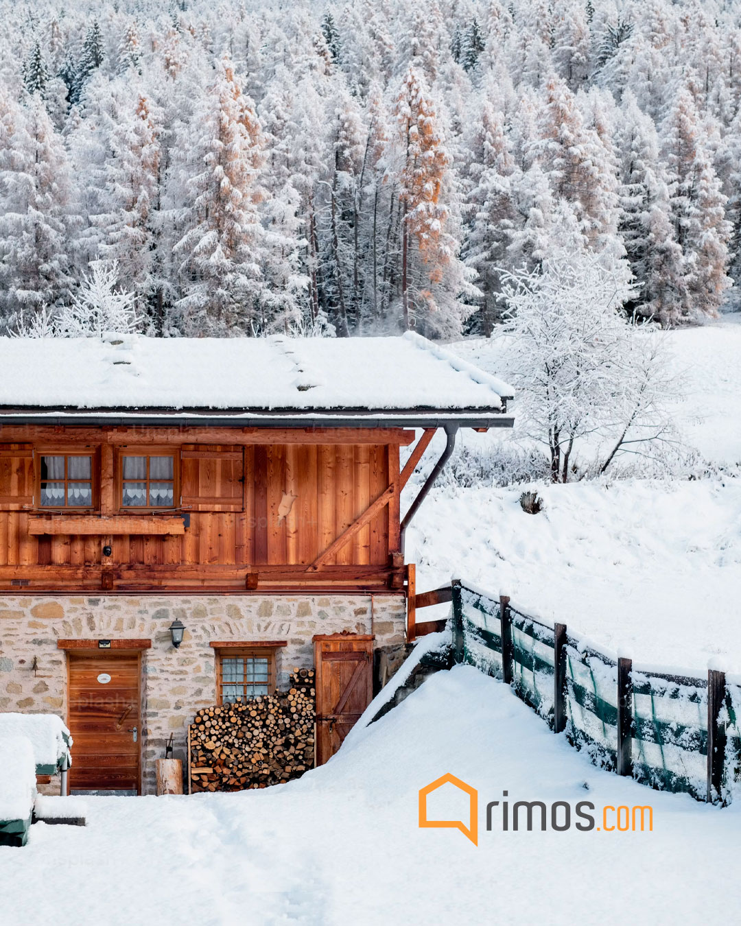 rimos collection desarrollo web